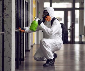 The True Cost of Putting Off Property Repairs